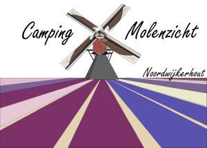 Camper camping Molenzicht in Noordwijkerhout